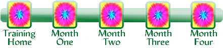 Click on the Training Image